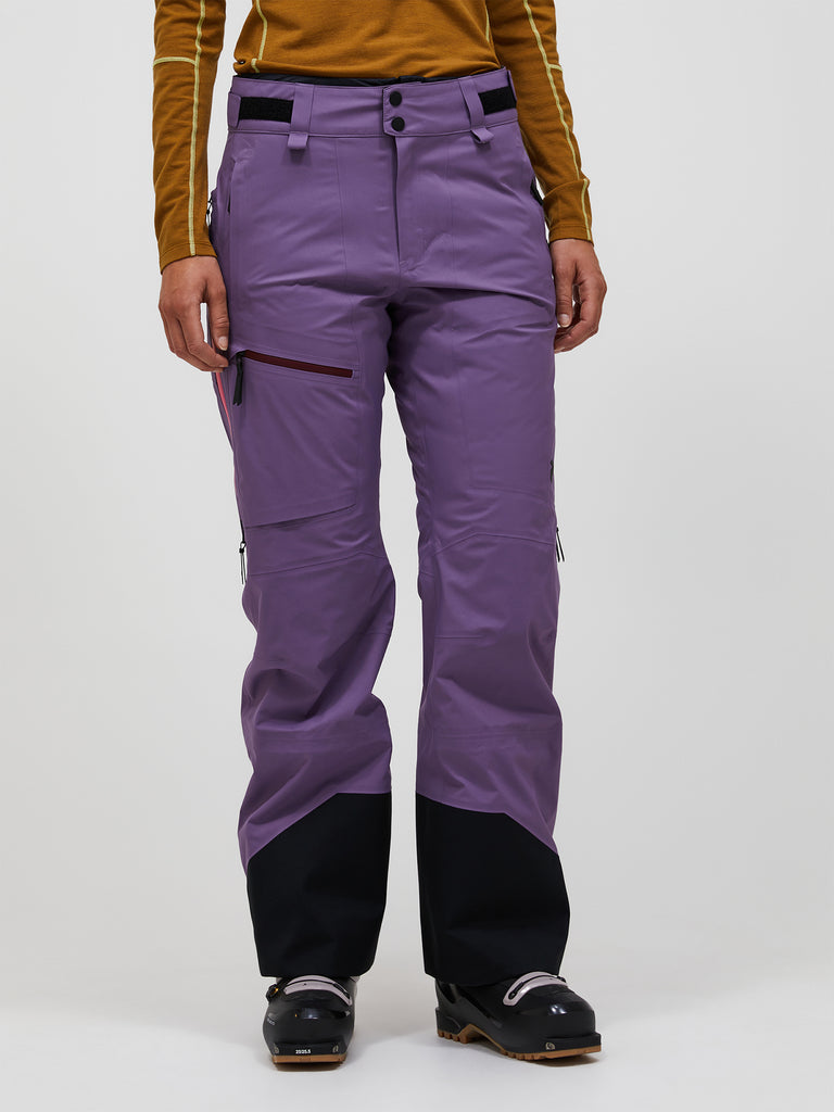 FW26新着】アルパイン GORE-TEX C-KNIT™ 3L シェル パンツ ウィメンズ